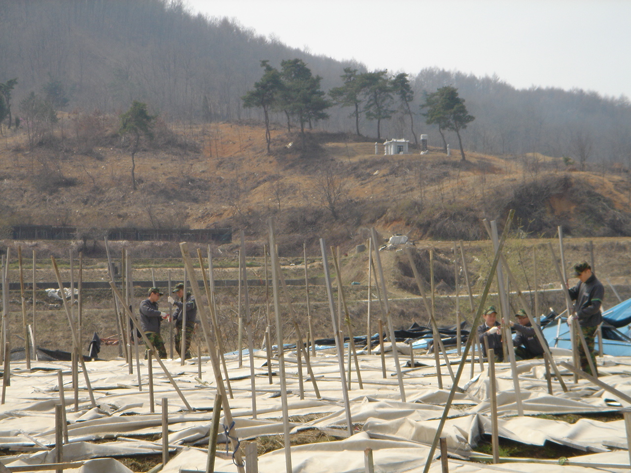 군부대 피해복구 지원 농가에는 큰 힘