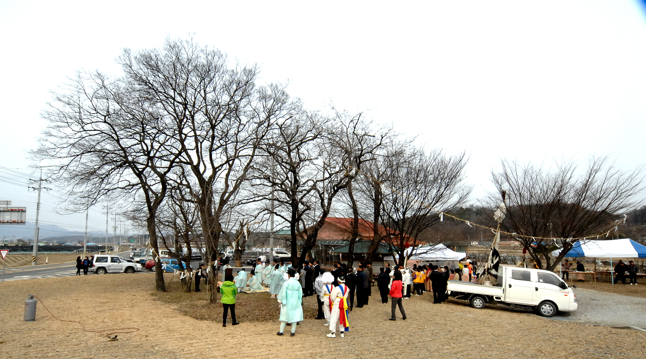 남차리 "수살목" 보호수로 지정