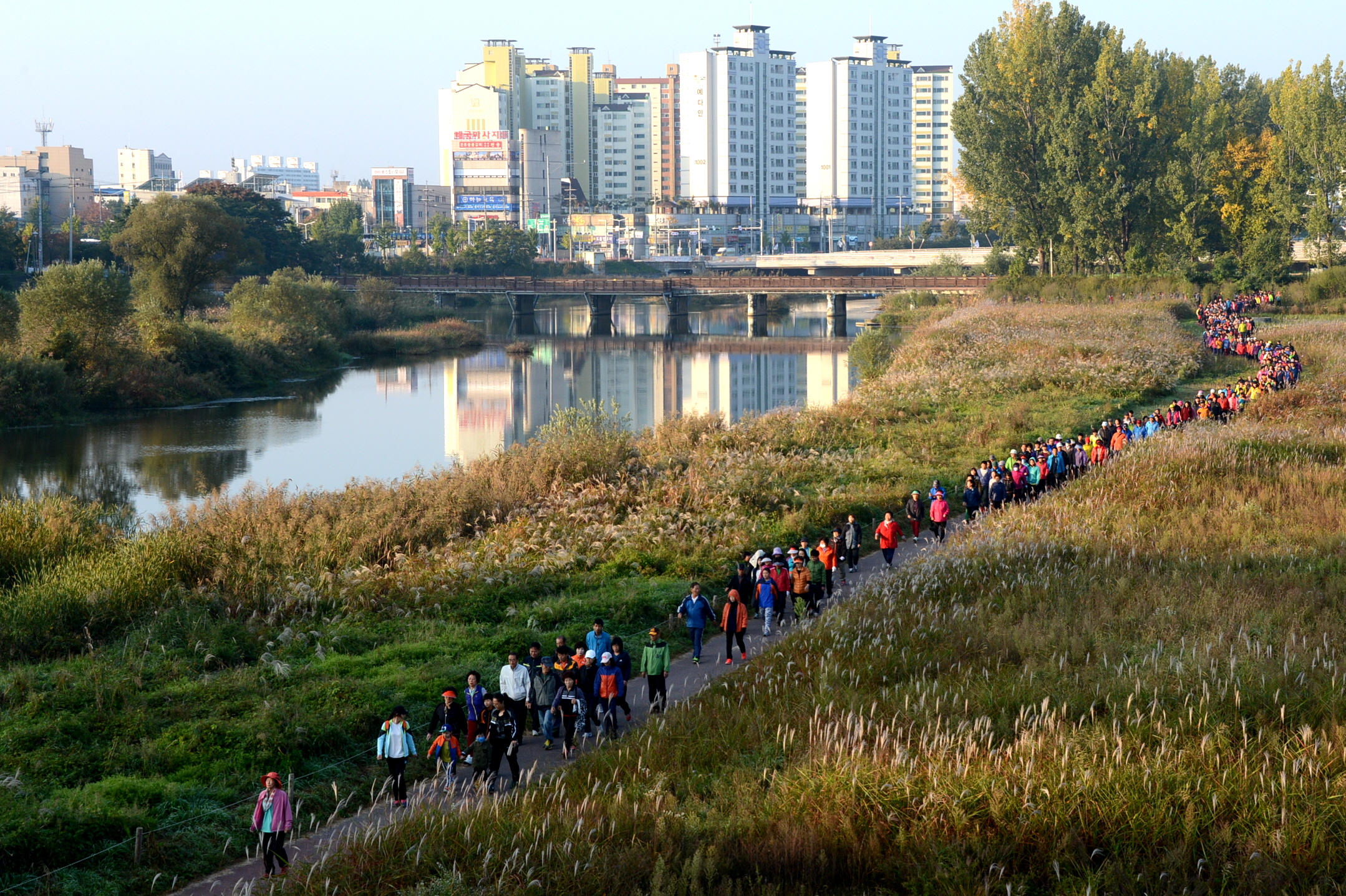 2014 증평인삼골 축제-2